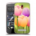 Дизайнерский пластиковый чехол для HTC Desire 500 Романтик цветы