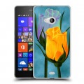 Дизайнерский пластиковый чехол для Microsoft Lumia 540 Сила роз