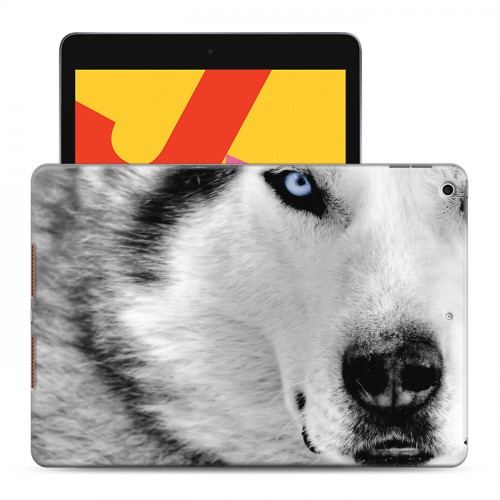 Дизайнерский силиконовый чехол для Ipad 10.2 (2019) Волки