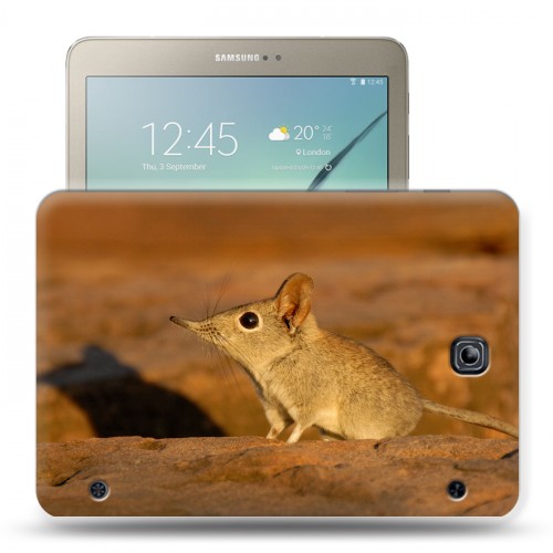 Дизайнерский силиконовый чехол для Samsung Galaxy Tab S2 8.0 Грызуны