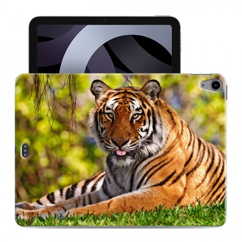 Дизайнерский силиконовый чехол для Ipad Air (2020) Тигры