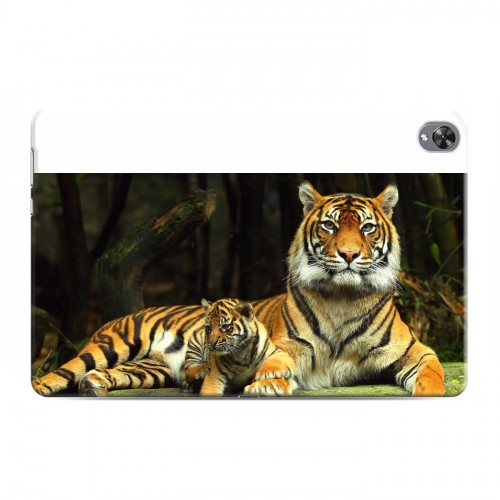 Дизайнерский силиконовый чехол для Huawei MediaPad M6 10.8 Тигры