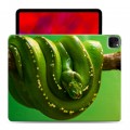 Дизайнерский пластиковый чехол для Ipad Pro 12.9 (2020) Змеи