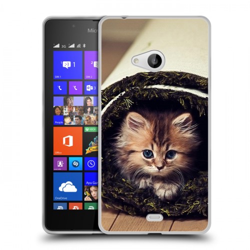 Дизайнерский пластиковый чехол для Microsoft Lumia 540 Кошки