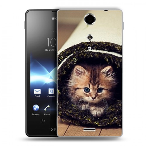 Дизайнерский пластиковый чехол для Sony Xperia TX Кошки