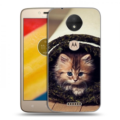 Дизайнерский силиконовый чехол для Motorola Moto C Кошки