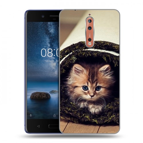 Дизайнерский пластиковый чехол для Nokia 8 Кошки