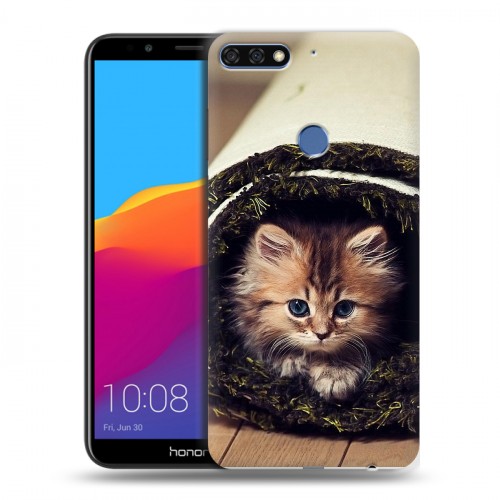 Дизайнерский пластиковый чехол для Huawei Honor 7C Pro Кошки