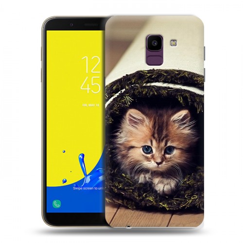 Дизайнерский пластиковый чехол для Samsung Galaxy J6 Кошки