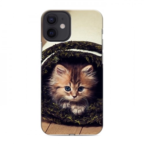 Дизайнерский силиконовый с усиленными углами чехол для Iphone 12 Mini Кошки
