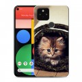 Дизайнерский пластиковый чехол для Google Pixel 5 Кошки