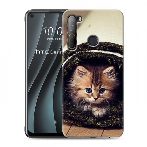 Дизайнерский пластиковый чехол для HTC Desire 20 Pro Кошки