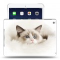 Дизайнерский силиконовый чехол для Ipad Air Кошки