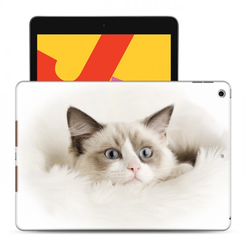 Дизайнерский силиконовый чехол для Ipad 10.2 (2019) Кошки