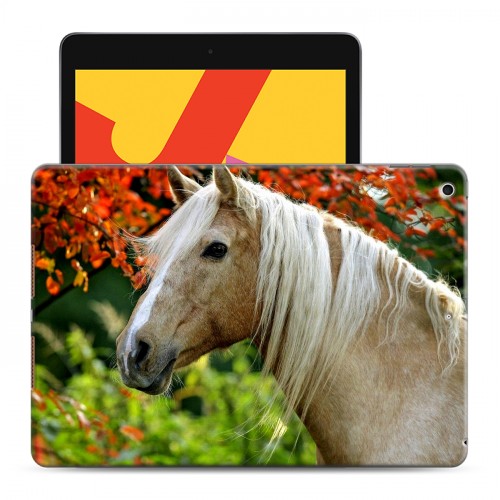 Дизайнерский силиконовый чехол для Ipad 10.2 (2019) Лошади