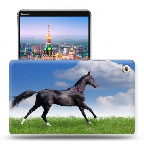 Дизайнерский пластиковый чехол для Huawei MediaPad M5 8.4 Лошади