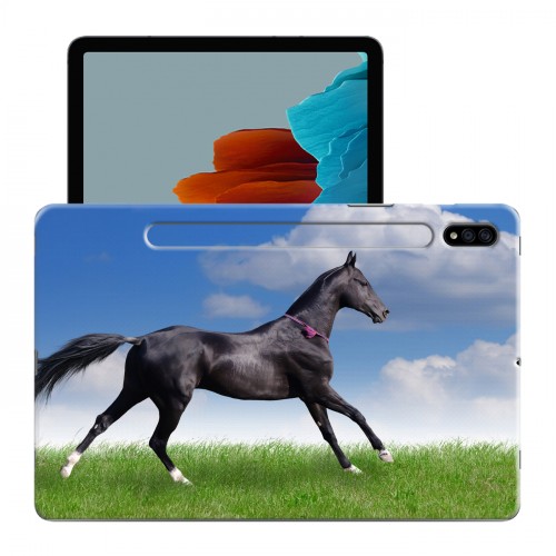 Дизайнерский силиконовый чехол для Samsung Galaxy Tab S7 Лошади