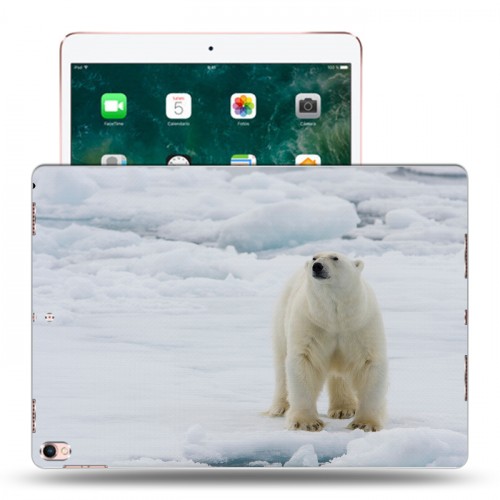 Дизайнерский пластиковый чехол для Ipad Pro 10.5 Медведи