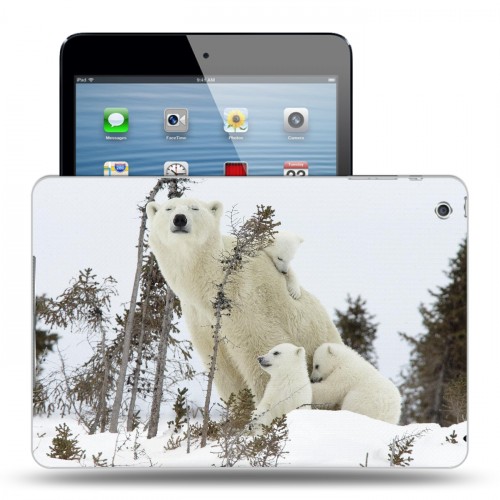 Дизайнерский пластиковый чехол для Ipad Mini Медведи