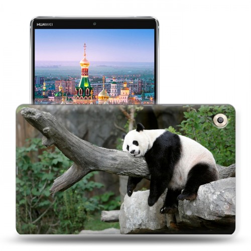 Дизайнерский пластиковый чехол для Huawei MediaPad M5 8.4 Панды