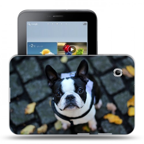 Дизайнерский силиконовый чехол для Samsung Galaxy Tab 2 7.0 Щенки