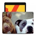 Дизайнерский силиконовый чехол для Ipad 10.2 (2019) Собаки