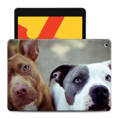Дизайнерский силиконовый чехол для Ipad 10.2 (2019) Собаки