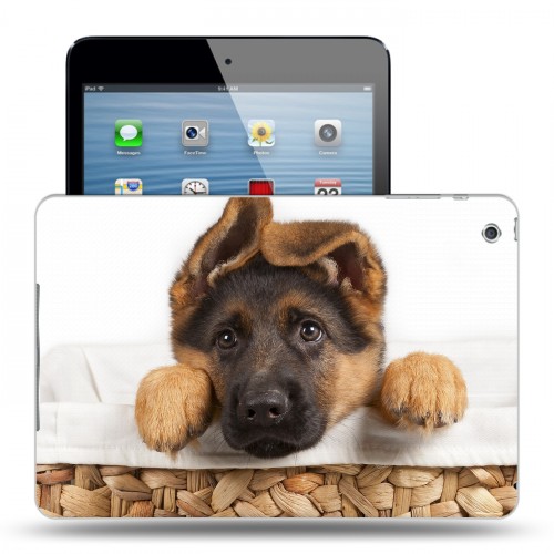 Дизайнерский пластиковый чехол для Ipad Mini Собаки