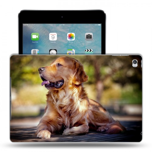 Дизайнерский пластиковый чехол для Ipad Mini 4 Собаки