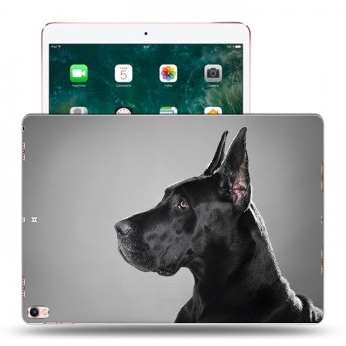 Дизайнерский пластиковый чехол для Ipad Pro 10.5 Собаки