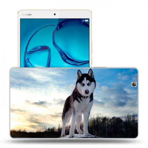 Дизайнерский силиконовый чехол для Huawei MediaPad M3 Собаки