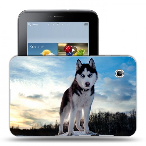 Дизайнерский силиконовый чехол для Samsung Galaxy Tab 2 7.0 Собаки