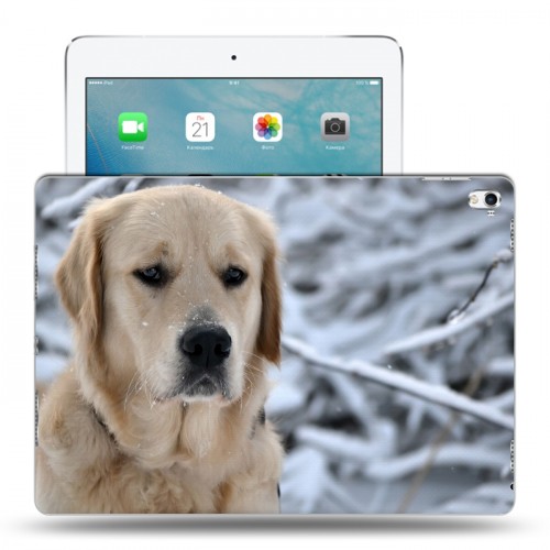 Дизайнерский пластиковый чехол для Ipad Pro 9.7 Собаки