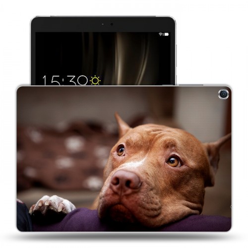 Дизайнерский силиконовый чехол для ASUS ZenPad 3S 10 Собаки