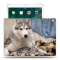 Дизайнерский пластиковый чехол для Ipad Pro 12.9 (2017) Собаки