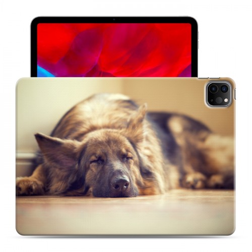 Дизайнерский силиконовый с усиленными углами чехол для Ipad Pro 11 (2020) Собаки