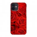 Дизайнерский пластиковый чехол для Iphone 12 Mini Розы
