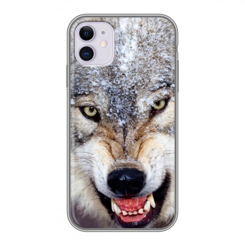 Дизайнерский силиконовый чехол для Iphone 11 Волки