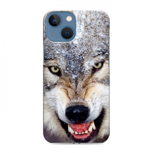 Дизайнерский пластиковый чехол для Iphone 13 Mini Волки