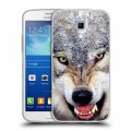 Дизайнерский пластиковый чехол для Samsung Galaxy Grand 2 Волки