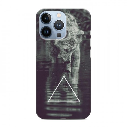 Дизайнерский силиконовый чехол для Iphone 13 Pro Волки