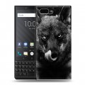 Дизайнерский пластиковый чехол для BlackBerry KEY2 Волки