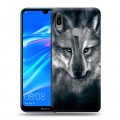 Дизайнерский пластиковый чехол для Huawei Y6 (2019) Волки