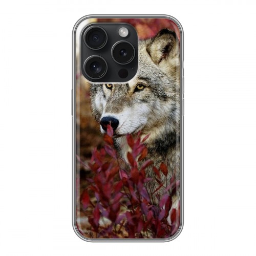 Дизайнерский силиконовый чехол для Iphone 15 Pro Волки