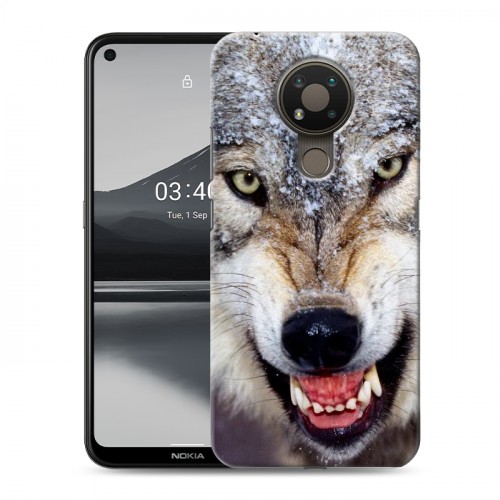 Дизайнерский пластиковый чехол для Nokia 3.4 Волки