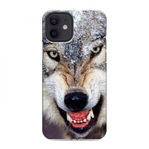 Дизайнерский силиконовый чехол для Iphone 12 Волки