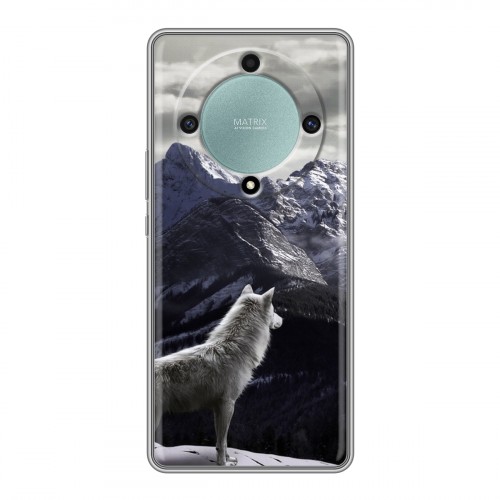 Дизайнерский силиконовый чехол для Huawei Honor X9a Волки