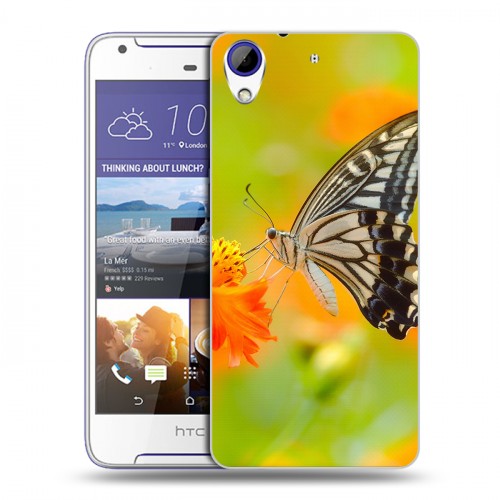 Дизайнерский пластиковый чехол для HTC Desire 830 Бабочки