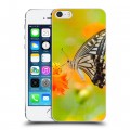 Дизайнерский пластиковый чехол для Iphone 5s Бабочки