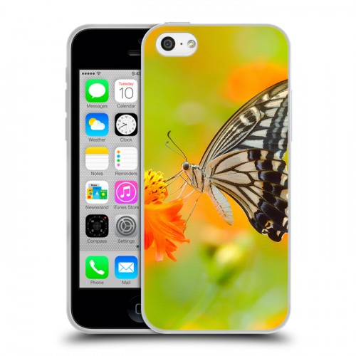 Дизайнерский пластиковый чехол для Iphone 5c Бабочки